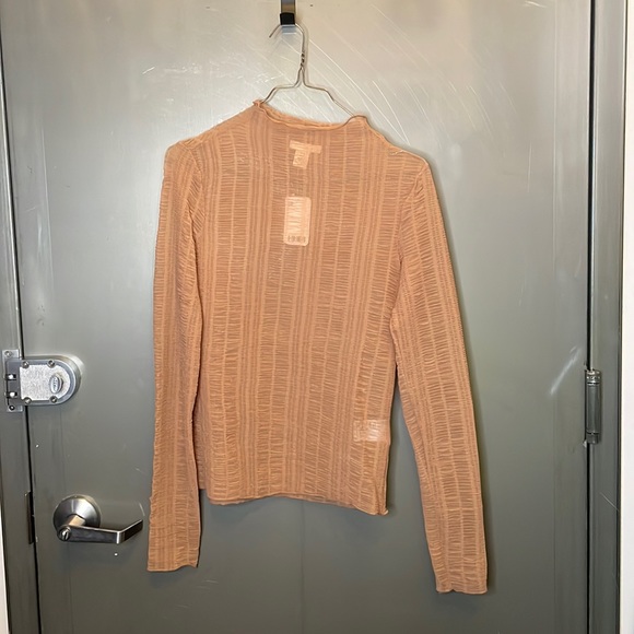 Ruched Sheer Mock Neck Top with Nude Lining main image 0